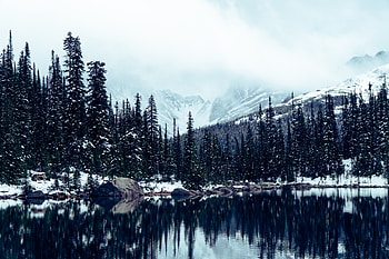 Jasper National Park Alberta Canada , national-park, nature, canada HD wallpaper