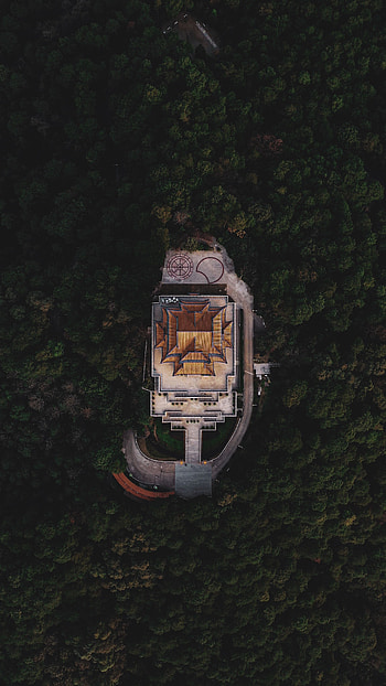 Trees, Building, View From Above, Miscellanea, Miscellaneous, Forest, Roof HD phone wallpaper