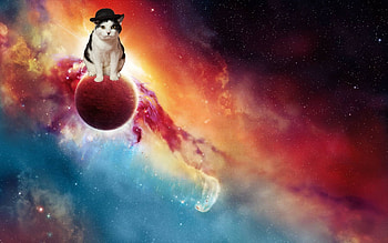 Space Cat Wide ... HD wallpaper