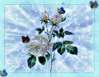 RhapsodyART., blue, butterflies, roses, art, colors, flowers, rhapsody HD wallpaper
