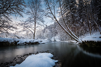 Winter, water, snow, tree HD wallpaper