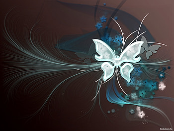 Butterflies HD wallpaper