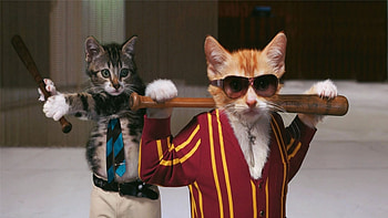 The Professionals, animal, suits, awesome, cats, cute, necklace, bat, dudes, wonderful, nice, fantastic, animals, amazing, adorable, stunning, sweet, baseball bat, cat, beautiful, tie, sun glasses, pretty, funny, skyphoenixx1 HD wallpaper
