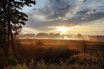 Nature, Sun, Shine, Light, Field, Morning HD wallpaper