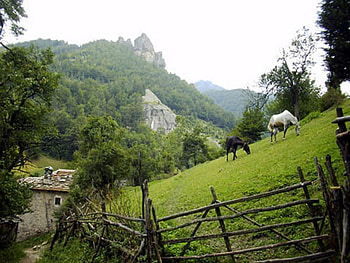 Place to live, horses, graphy, green, bulgaria, mountain HD wallpaper