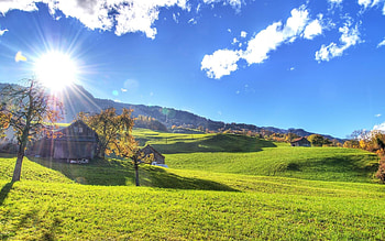 Farm , screensavers, Personalize your , Farm-themed visuals HD wallpaper