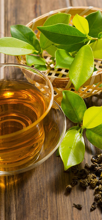 Green tea , Vibrant greenery, Healthy beverage, Zen-like serenity HD phone wallpaper