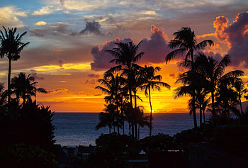 Nature, Sunset, Night, Clouds, Palms, Ocean, Tropics HD wallpaper