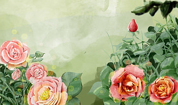 Roses, art, summer, xiangzigoushu, rose, green, red, flower, texture, wall, tapet, vara HD wallpaper