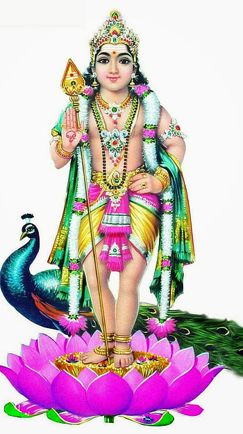 Sami , White Background, lord murugan HD phone wallpaper