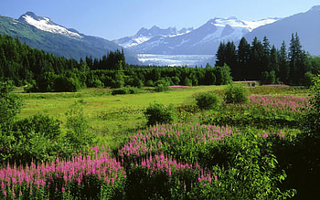 Alaska travels, Alaska nature, Nature background, Scenic beauty HD wallpaper