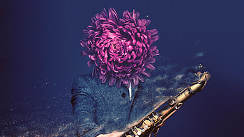Jazz, artist, artwork, digital-art HD wallpaper