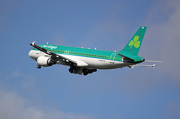 Aer Lingus, Special spotting, Infinite Flight Community HD wallpaper