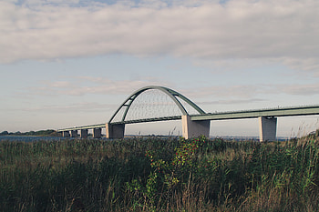 Rivers, Bush, Shore, Bank, Miscellanea, Miscellaneous, Bridge, Cane, Reed HD wallpaper