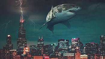 City Sharks , shark, manipulation, city, artist, artwork, digital-art HD wallpaper