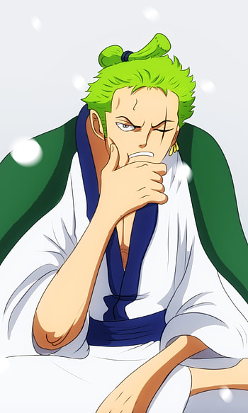 Roronoa Zoro, Anime, One Piece HD phone wallpaper