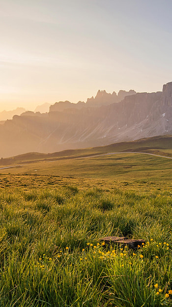 Grasslands at sunset, 7K U, Sunset 7K U, Grasslands at sunset HD phone wallpaper