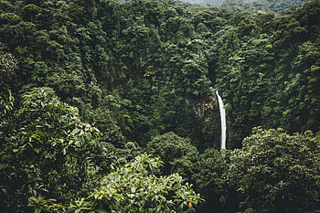 Nature, Trees, View From Above, Waterfall HD wallpaper