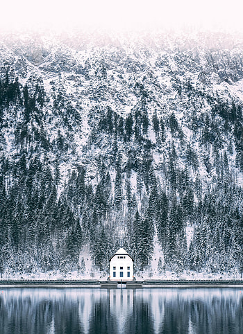 Nature, Snow, Lake, Forest, House HD phone wallpaper