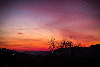 Nature, Trees, Sunset, Sky, Night HD wallpaper