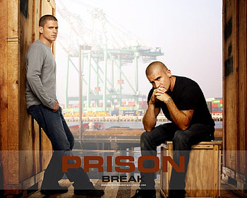 Wentworth Miller and Dominic Purcell, tv series, wentworth miller, dominic purcell, prison break HD wallpaper