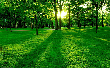_ for computer background cool background high quality artworks colourful ultra HD wallpaper
