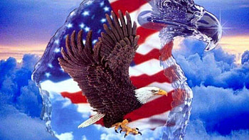 Bald Eagle For Independence Day HD wallpaper