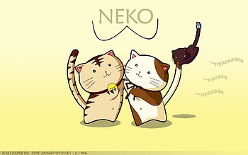Descargar Fondos de pantalla neko Gratis nes HD wallpaper