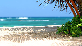 Beach HQ , Stunning , Beautiful landscapes, Coastal views HD wallpaper