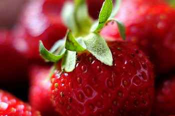 Close up, fresh, red, strawberry HD wallpaper