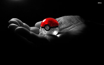 Holding A Pokeball HD wallpaper