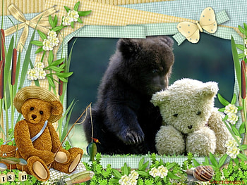 A BEAR AND HIS TEDDY, TEDDY, BEAR, FRAMED HD wallpaper