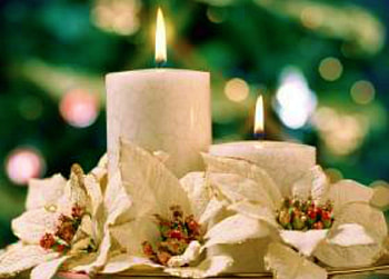 Christmas Candles, white, decoration, Christmas, candles, Poinsettia HD wallpaper