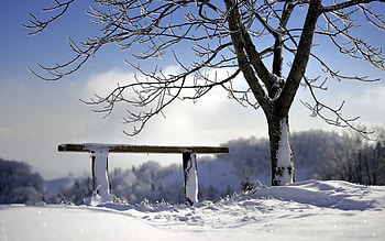 Lookout, top, beauty, tree, hill, winter, stop, cold, country, fine day, snow, clouds HD wallpaper