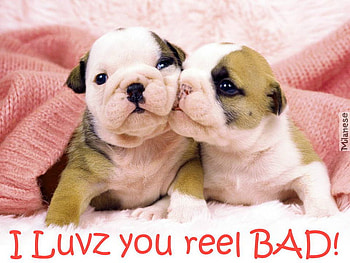 PUPPY LOVE, puppies, cute, adorable, love HD wallpaper