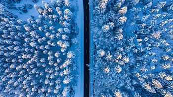 Nature, Snow, View From Above, Road, Forest HD wallpaper