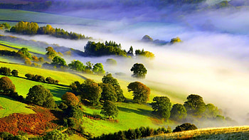 FOGGY VALLEY, fog, morning, valley, trees, nature HD wallpaper