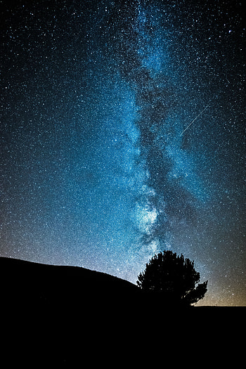 Stars, Night, Dark, Wood, Tree, Starry Sky, Milky Way HD phone wallpaper
