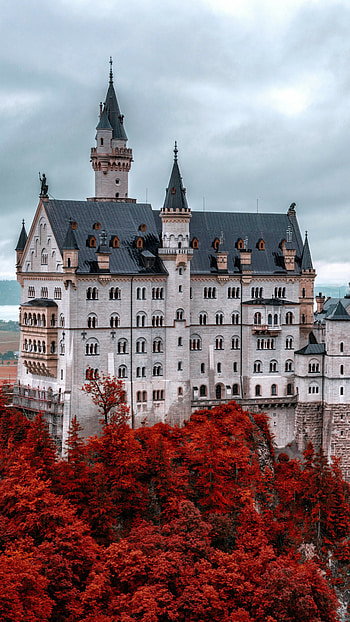 Neuschwanstein Castle , Bavaria Germany, Tourism travel, Architectural marvel HD phone wallpaper