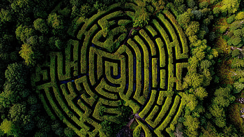 of a Green Tree Labyrinth in Nature, nature, labyrinth, tree, green HD wallpaper