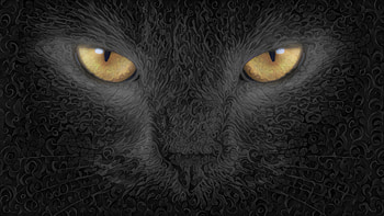 Cat Abstract Art Background, cat, artist, background HD wallpaper