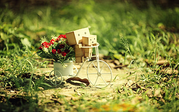 Flowers, Grass, Miscellanea, Miscellaneous, Bicycle, Danboard, Cardboard Robots HD wallpaper