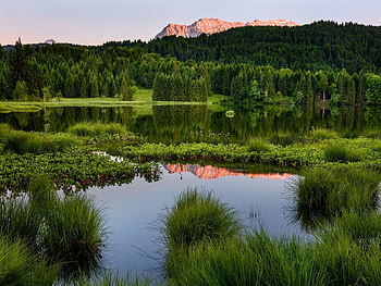 Green Summer Forest, summer, green, landscape, trees, nature, mountains, forest HD wallpaper