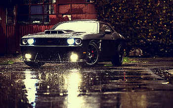 Dodge Challenger 4, dodge-challenger, cars, rain HD wallpaper