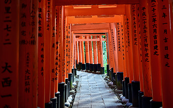 Torii Gate Japan, design, torii, japan, gate HD wallpaper