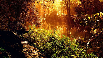 Landscape, Rivers HD wallpaper