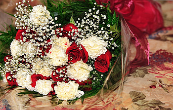 Flowers, Roses, Carnations, Registration, Typography, Bouquet, Gypsophilus, Gipsophile HD wallpaper