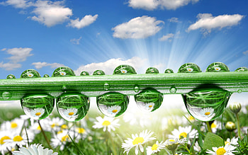 Background, Drops HD wallpaper