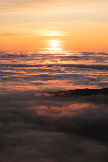 Nature, Sunset, Sun, Clouds, Horizon, View HD phone wallpaper