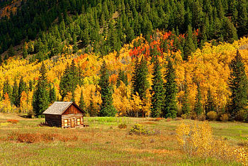 Autumn cabin, slope, fall, beautiful, lvoely, mountain, cabin, leaves, trees, autumn, nature, cottage, foliage HD wallpaper